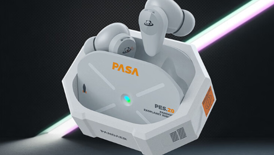 Pandaer Noise-Canceling Earphones 1s
