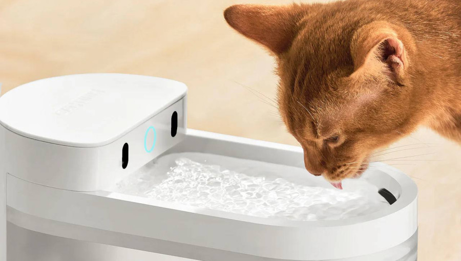 Catlink AI Water Fountain - Wired