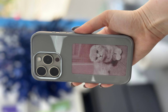 Чохли з екраном для iPhone: тренд 2024 року