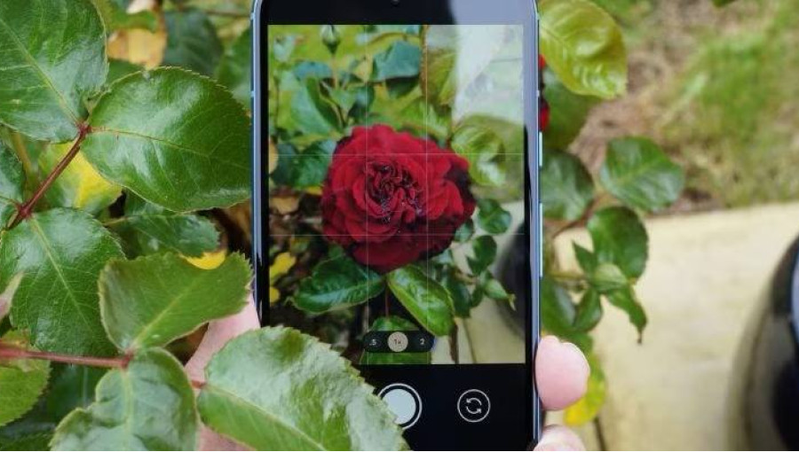 Google Pixel 9a: когда выйдет и полные характеристики нового бюджетного смартфона