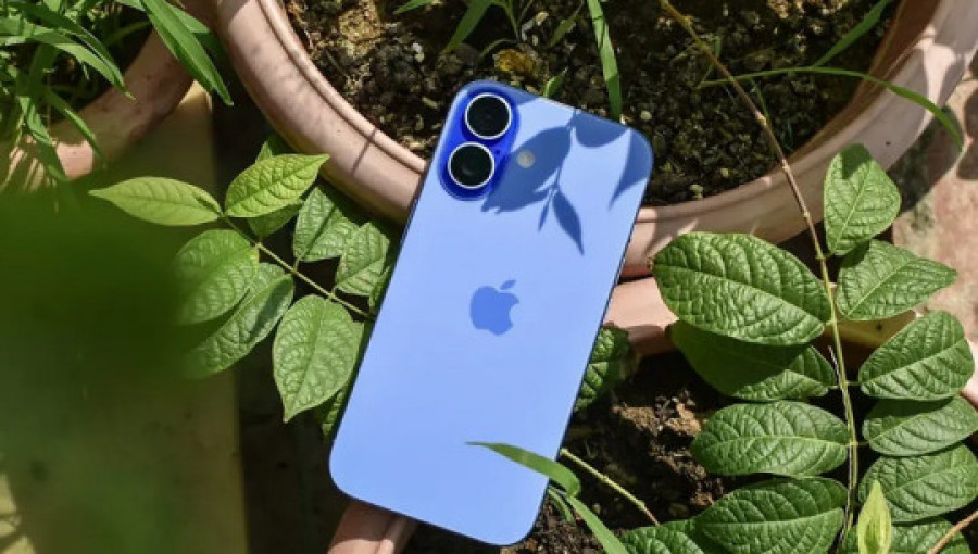Apple iPhone 16e или iPhone 16: чем они отличаются?
