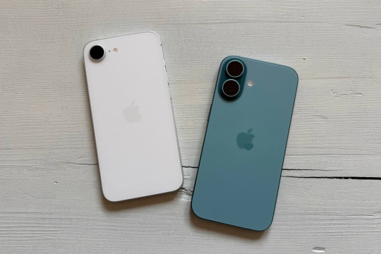 Apple iPhone 16e или iPhone 16: чем они отличаются?