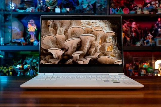 Огляд Acer Extensa 15 EX215-57 – швидкого бюджетного ноутбука з неймовірною автономністю